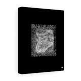 Starry Cats Canvas Gallery Wraps