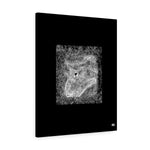 Starry Cats Canvas Gallery Wraps